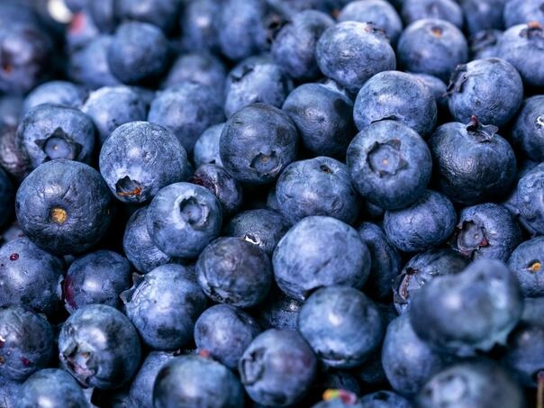 Zdravstvene dobrobiti borovnica zbog kojih ćete ih poželjeti dodati u svaki smoothie